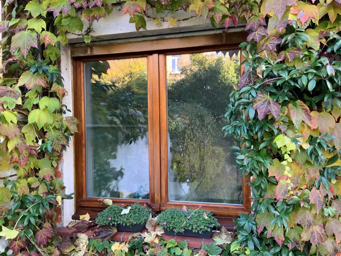 de mann brigitte 2 1761813087